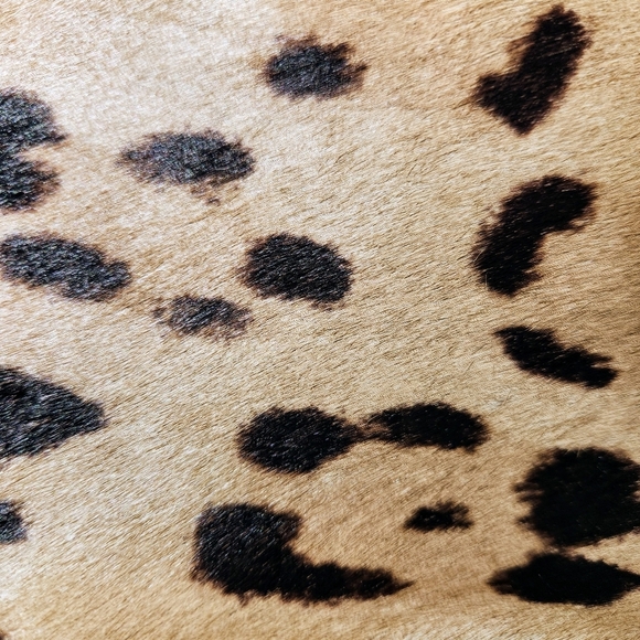 Aritzia Auxiliary Cow Leather Leopard Print Crossbody Purse - Picture 13 of 16